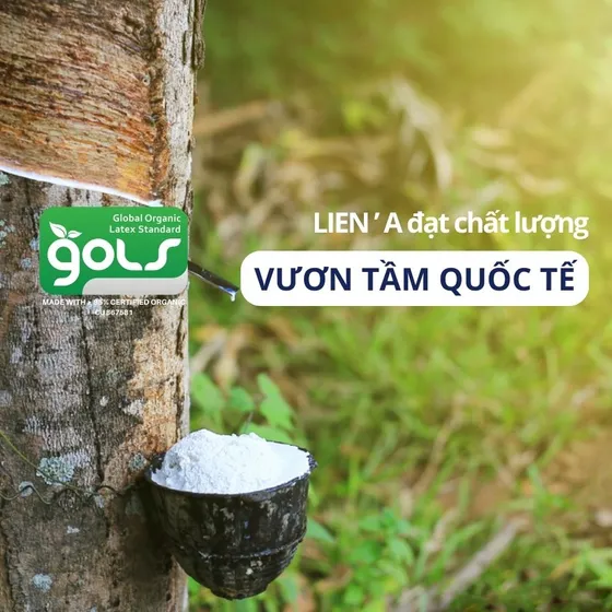 Liên Á đạt chất lượng vươn tầm quốc tế