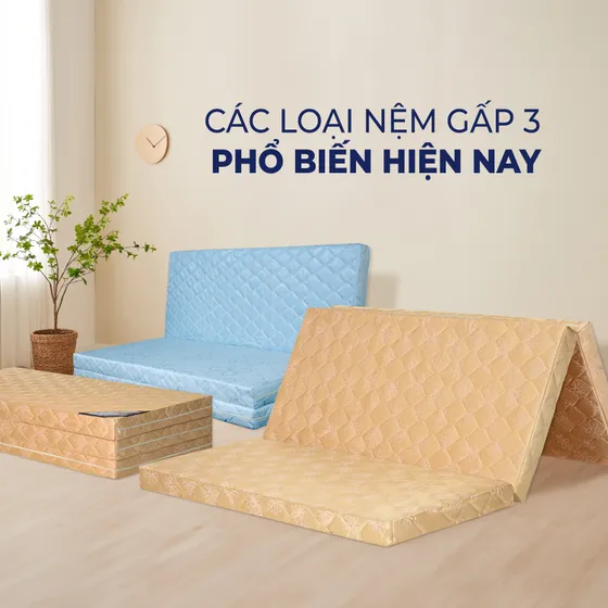 Chi tiết các kích thước nệm gấp 3 phổ biến nhất hiện nay Chi tiết các kích thước nệm gấp 3 phổ biến nhất hiện nay