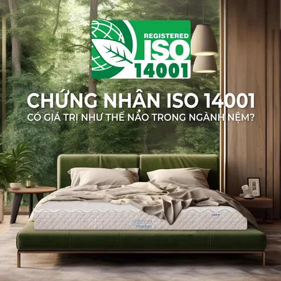 Chứng nhận ISO 14001 là gì? Ý nghĩa trong ngành công nghiệp giấc ngủ