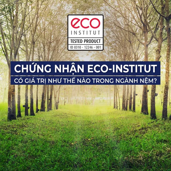Chứng nhận ECO là gì? Ý nghĩa trong ngành công nghiệp giấc ngủ