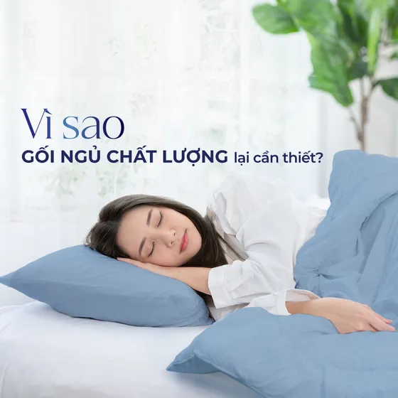 4 lý do bạn nên đầu tư gối ngủ chất lượng ngay hôm nay