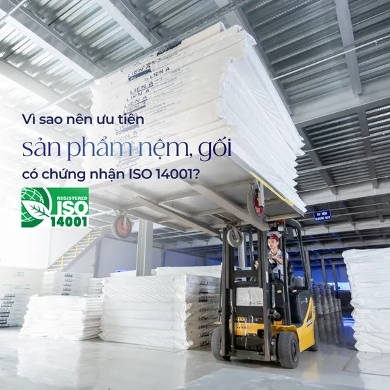 Vì sao nên ưu tiên sản phẩm nệm, gối có chứng nhận ISO 14001? Vì sao nên ưu tiên sản phẩm nệm, gối có chứng nhận ISO 14001?