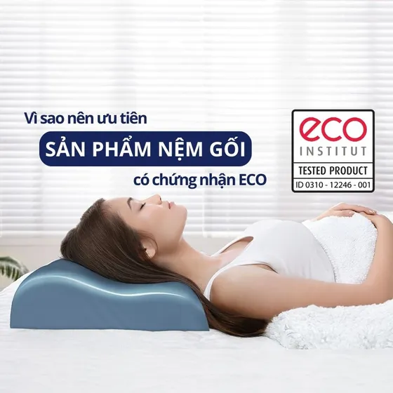 Vì sao nên ưu tiên sản phẩm nệm, gối có chứng nhận ECO? Vì sao nên ưu tiên sản phẩm nệm, gối có chứng nhận ECO?