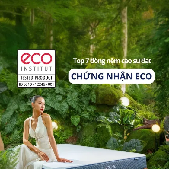 Top 7 dòng nệm cao su có chứng nhận ECO tốt nhất của LIÊN Á Top 7 dòng nệm cao su có chứng nhận ECO tốt nhất của LIÊN Á