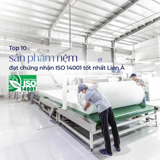 Thương hiệu LIÊN Á đạt chứng nhận ISO 14001 Thương hiệu LIÊN Á đạt chứng nhận ISO 14001