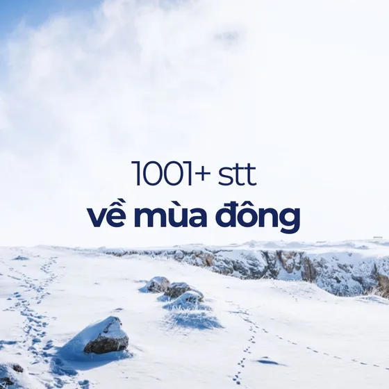 Tổng hợp 1001+ stt mùa đông, cap mùa đông sống ảo cực chất