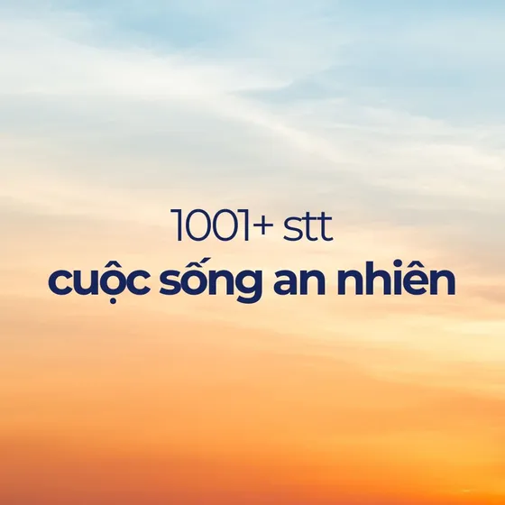 Tổng hợp 1001+ stt cuộc sống an nhiên xoa dịu tâm hồn
