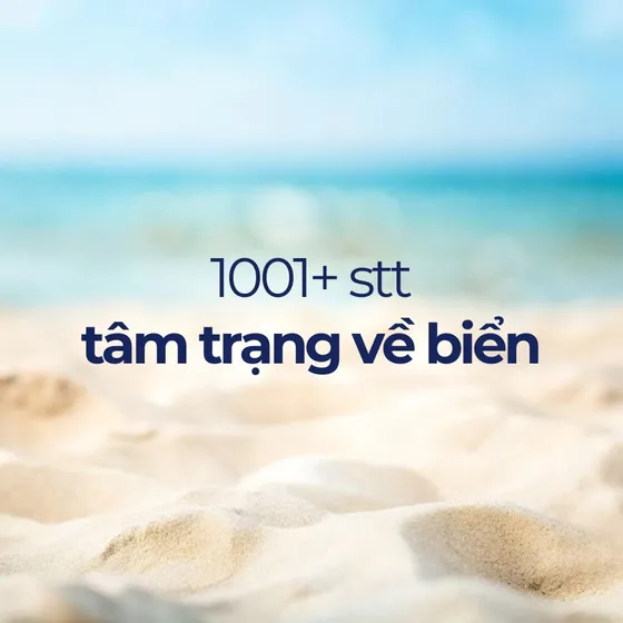 Tổng hợp 1001+ stt về biển hay bắt trend sống ảo triệu like