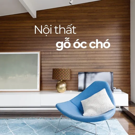 Gỗ óc chó là gì? Ứng dụng gỗ óc chó tự nhiên trong nội thất