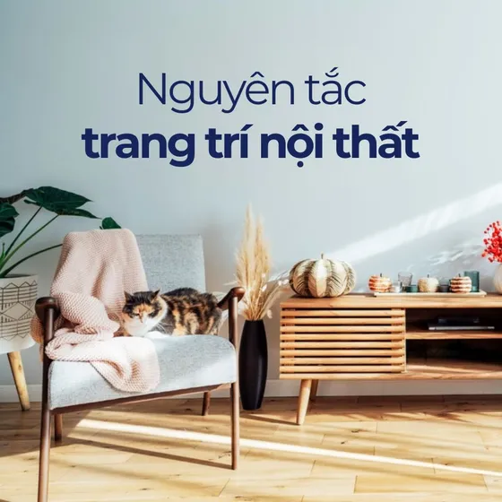 Decor là gì? 8 nguyên tắc vàng trong trang trí nội thất