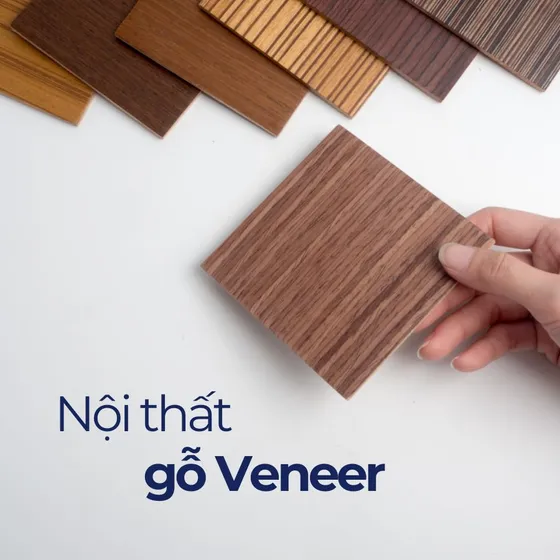 Gỗ veneer là gì? Ứng dụng gỗ veneer trong nội thất