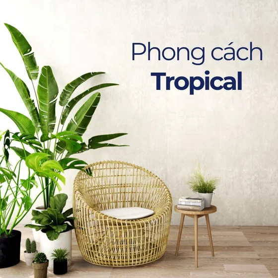 Tropical là gì? Nét đặc trưng của phong cách Tropical