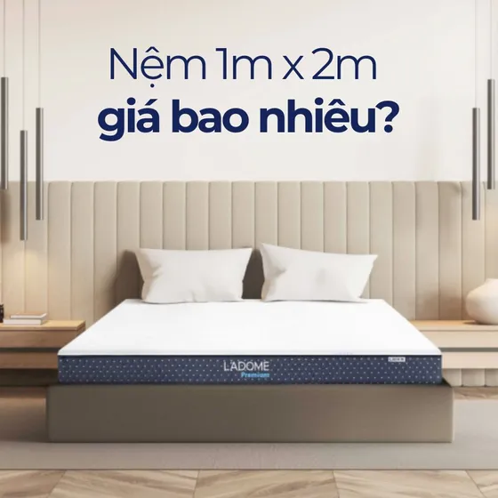 [Cập nhật 2025] Nệm 1m x 2m giá bao nhiêu?
