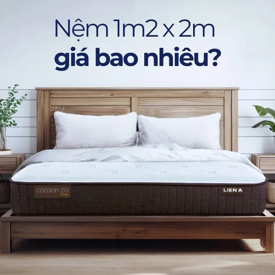 [Cập nhật 2025] Nệm 1m2 x 2m giá bao nhiêu?
