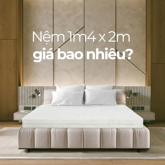 [Cập nhật 2025] Nệm 1m4 x 2m giá bao nhiêu?