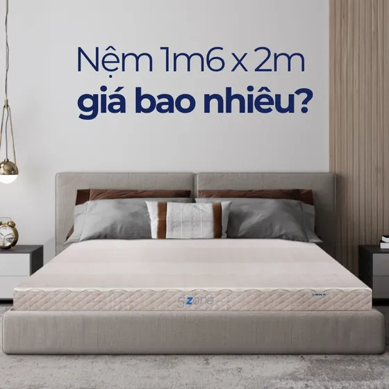 [Cập nhật 2025] Nệm 1m6 x 2m giá bao nhiêu?