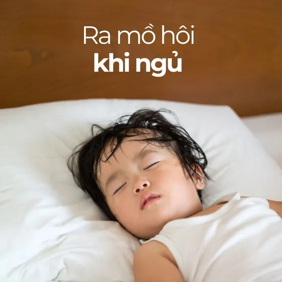 Lý do ra mồ hôi khi ngủ mặc dù trời lạnh?