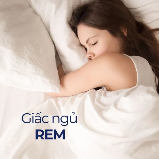 Giấc ngủ REM là gì? Chu kỳ giấc ngủ REM và non - REM
