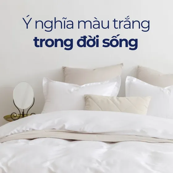 Màu trắng: Ý nghĩa đằng sau sắc màu thuần khiết trang nhã