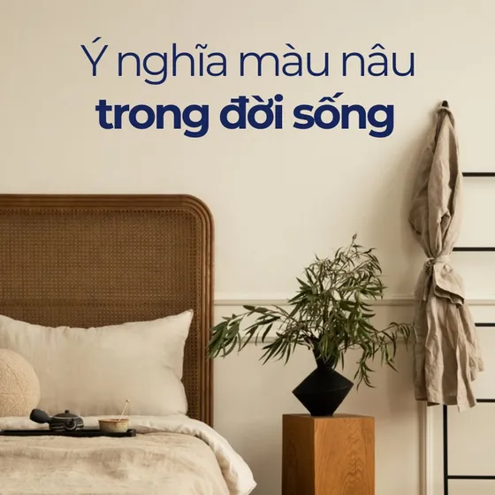 Màu nâu: Ý nghĩa đằng sau sắc màu ấm áp và bình yên