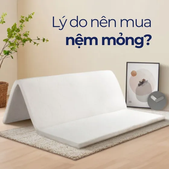 Lý do nên mua nệm mỏng? Ưu và nhược điểm của nệm mỏng Lý do nên mua nệm mỏng? Ưu và nhược điểm của nệm mỏng
