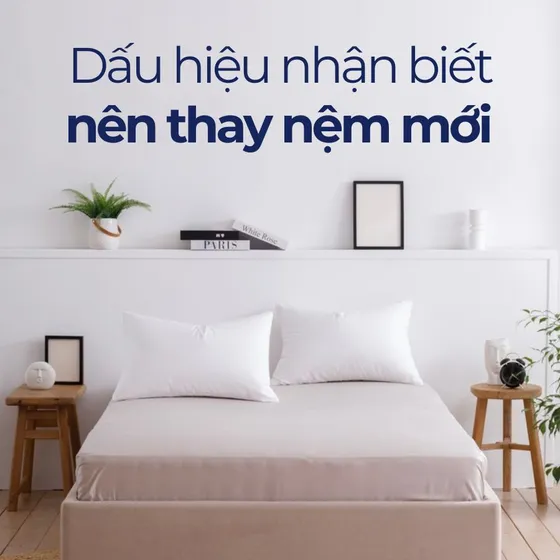Khi nào cần thay nệm mới? Nguyên tắc bảo quản nệm lâu bền Khi nào cần thay nệm mới? Nguyên tắc bảo quản nệm lâu bền