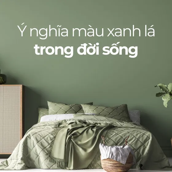 Màu xanh lá cây: Ý nghĩa đằng sau sắc màu của thiên nhiên
