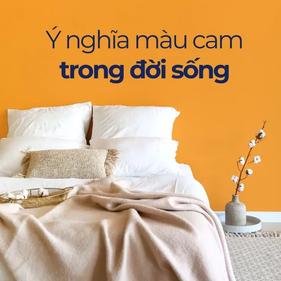 Màu cam: Ý nghĩa đằng sau sắc màu nhiệt huyết và năng động Màu cam: Ý nghĩa đằng sau sắc màu nhiệt huyết và năng động