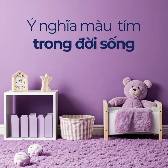 Màu tím: Ý nghĩa đằng sau sắc màu lãng mạn và tinh tế Màu tím: Ý nghĩa đằng sau sắc màu lãng mạn và tinh tế