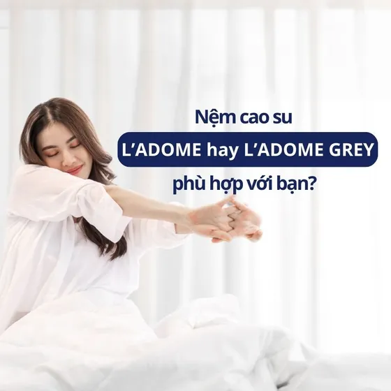 Nệm L'ADOME và L'ADOME Grey: Lựa chọn nào phù hợp với bạn?