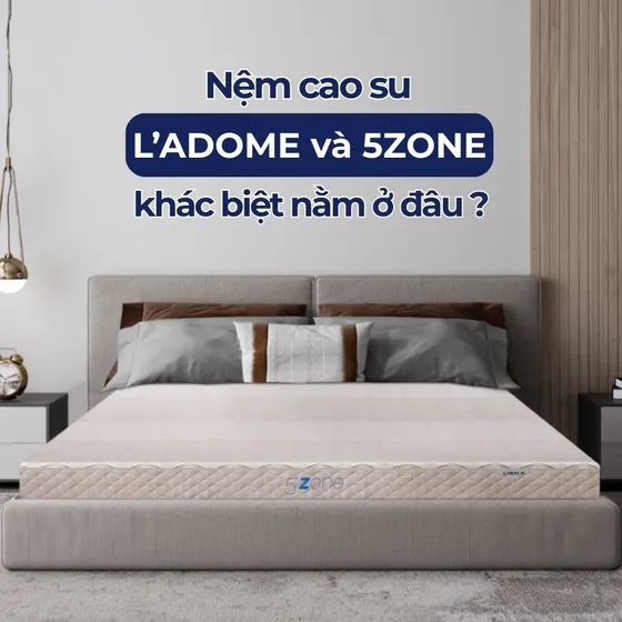 L'ADOME và 5ZONE: Đâu mới là mẫu nệm mà bạn mong đợi?