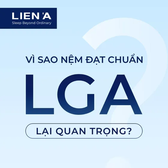 Top 10 dòng nệm đạt chứng nhận LGA của LIÊN Á