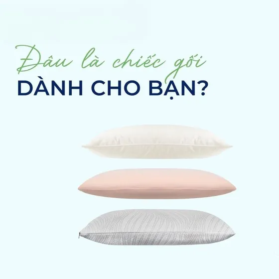 Nên nằm gối gòn tơ hay gối cao su thiên nhiên? Nên nằm gối gòn tơ hay gối cao su thiên nhiên?
