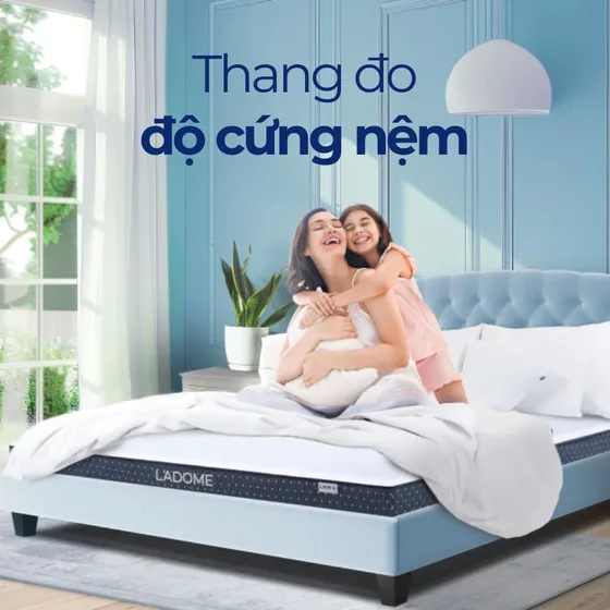 Độ cứng nệm được đo bằng chỉ số nào?