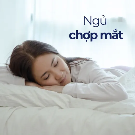 Ngủ chợp mắt là gì? Mẹo chợp mắt nhanh chóng nhưng vẫn khỏe Ngủ chợp mắt là gì? Mẹo chợp mắt nhanh chóng nhưng vẫn khỏe