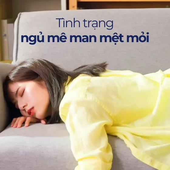 Ngủ mê man là gì? Ngủ mê man mệt mỏi có sao không? Ngủ mê man là gì? Ngủ mê man mệt mỏi có sao không?