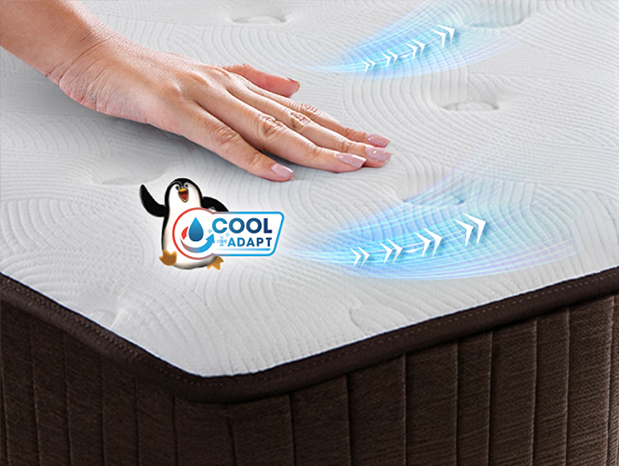 CÔNG NGHỆ LÀM MÁT COOLADAPT™