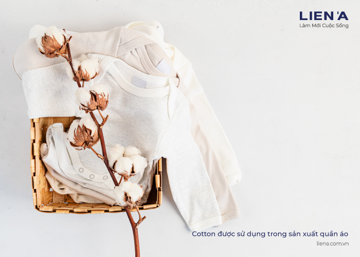 cotton sản xuất may quần áo