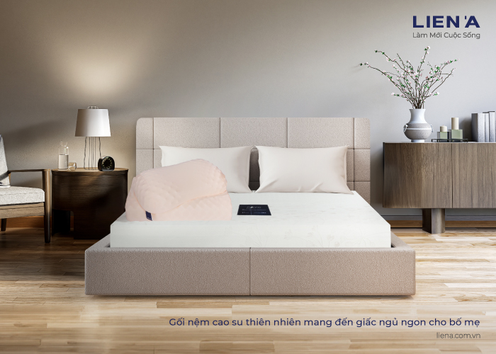 tặng bố mẹ nệm sức khỏe