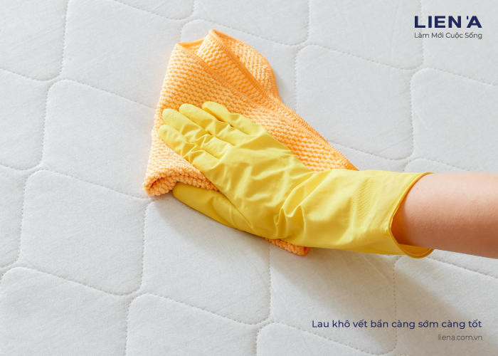 lau khô vết bẩn càng sớm càng tốt