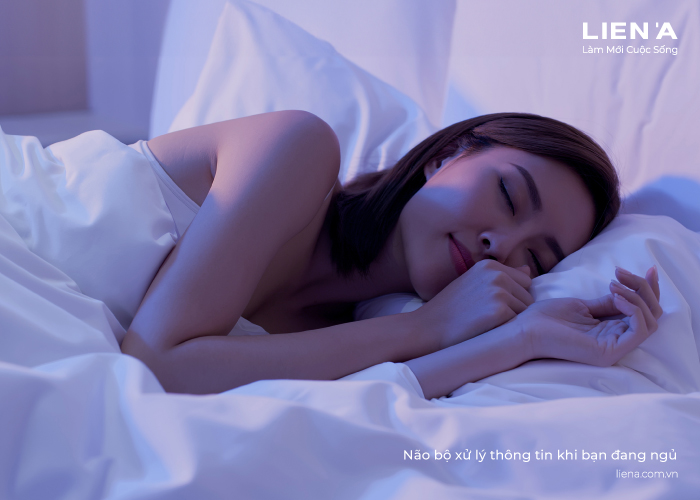 não bộ xử lý thông tin khi ngủ