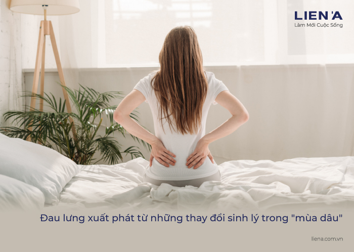 tư thế giảm đau lưng