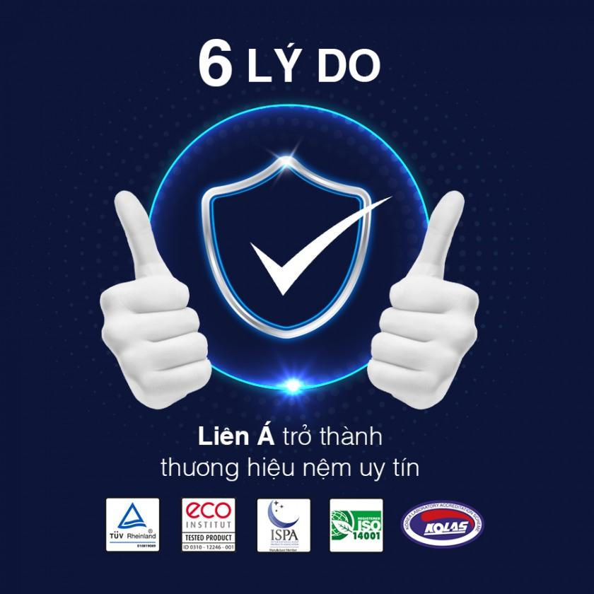 thương hiệu nệm uy tín