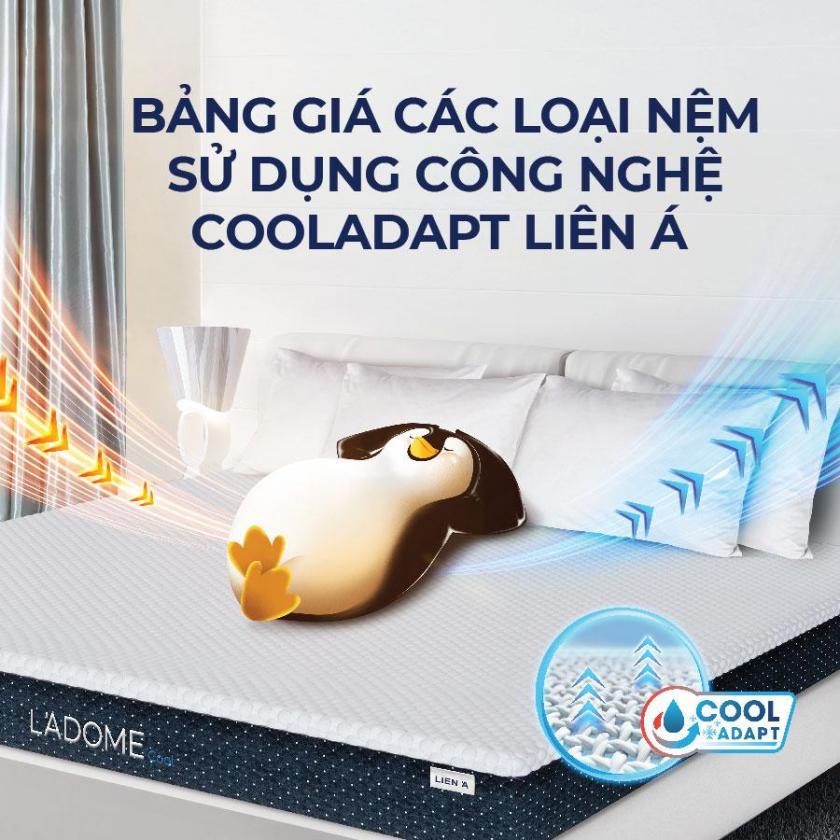 bảng giá nệm mát