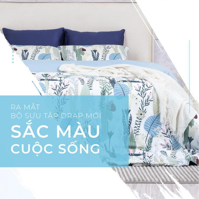 drap sắc màu