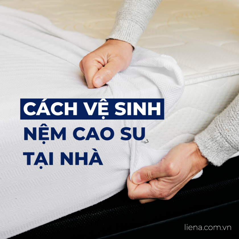 vệ sinh nệm cao su