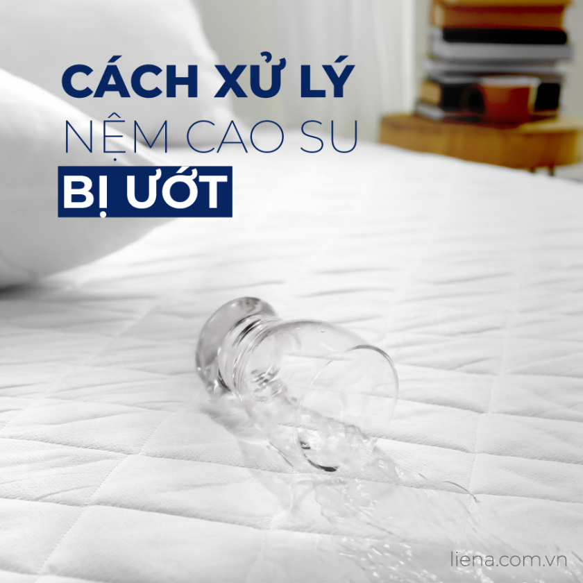 cách xử lý nệm cao su bị ướt