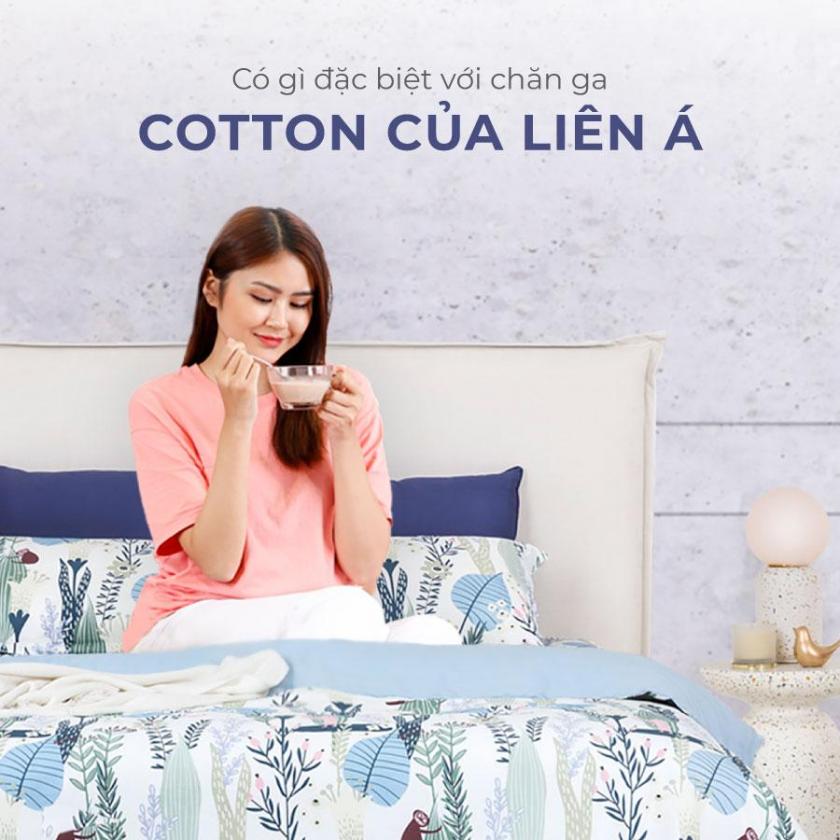 chăn ga cotton 