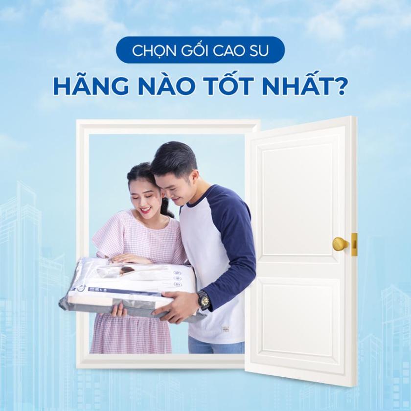 gối cao su hãng nào tốt