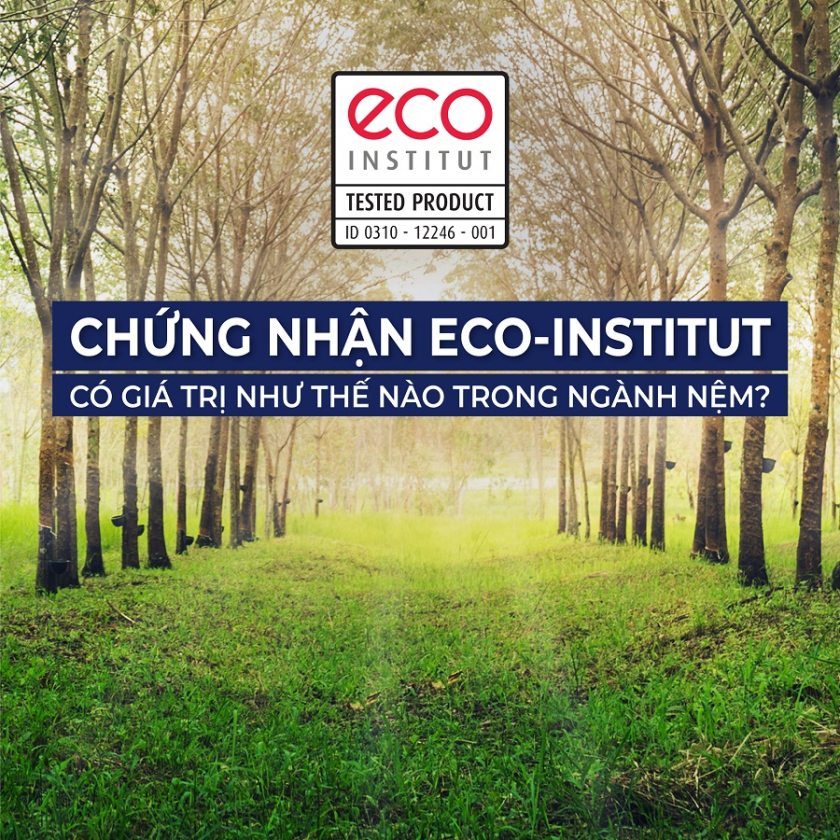 Chứng nhận ECO là gì? Ý nghĩa trong ngành công nghiệp giấc ngủ